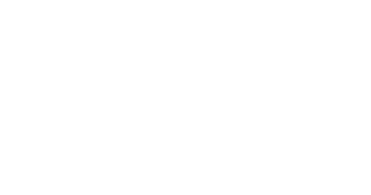 PANACHE Logo